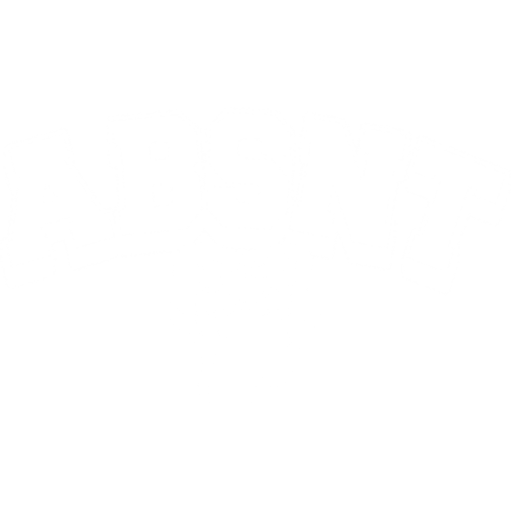 Absent Mind Clothing